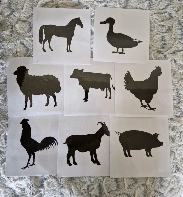 Lot de 8 cartes sensorielles - photo numéro 2