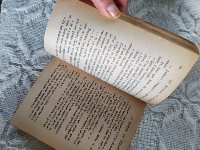 Le Roman de Renart, Bibliothèque Juventa 1969 - photo numéro 3