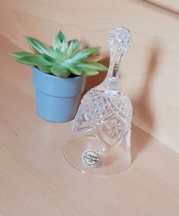 🪴 Cloche en verre - Cristal d'Arques - Neuve 🪴