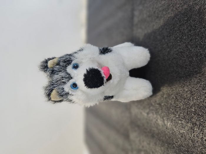 🧸 Peluche chien type Husky