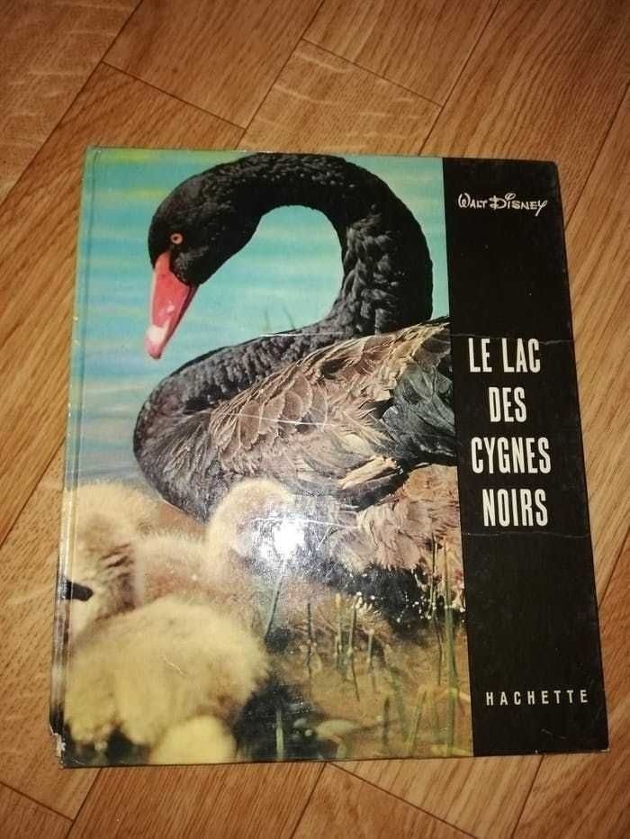 Le lac des cygnes noirs Disney - photo numéro 1