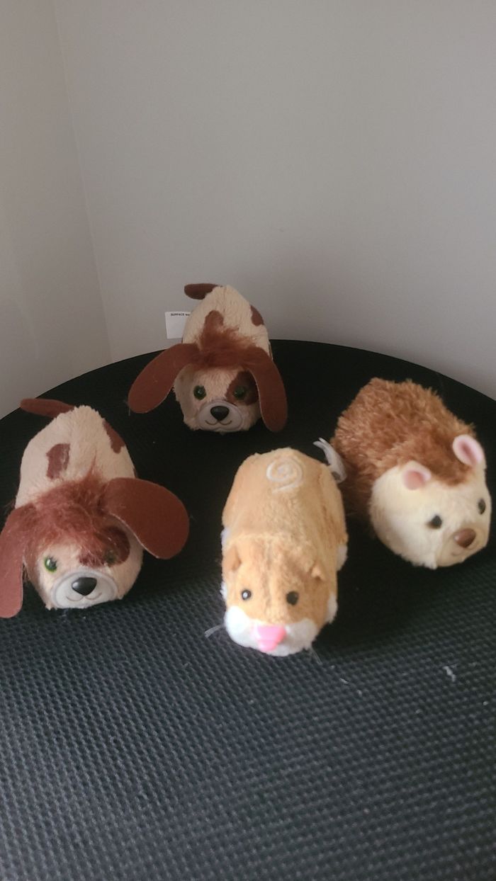 zhu zhu pet - photo numéro 2