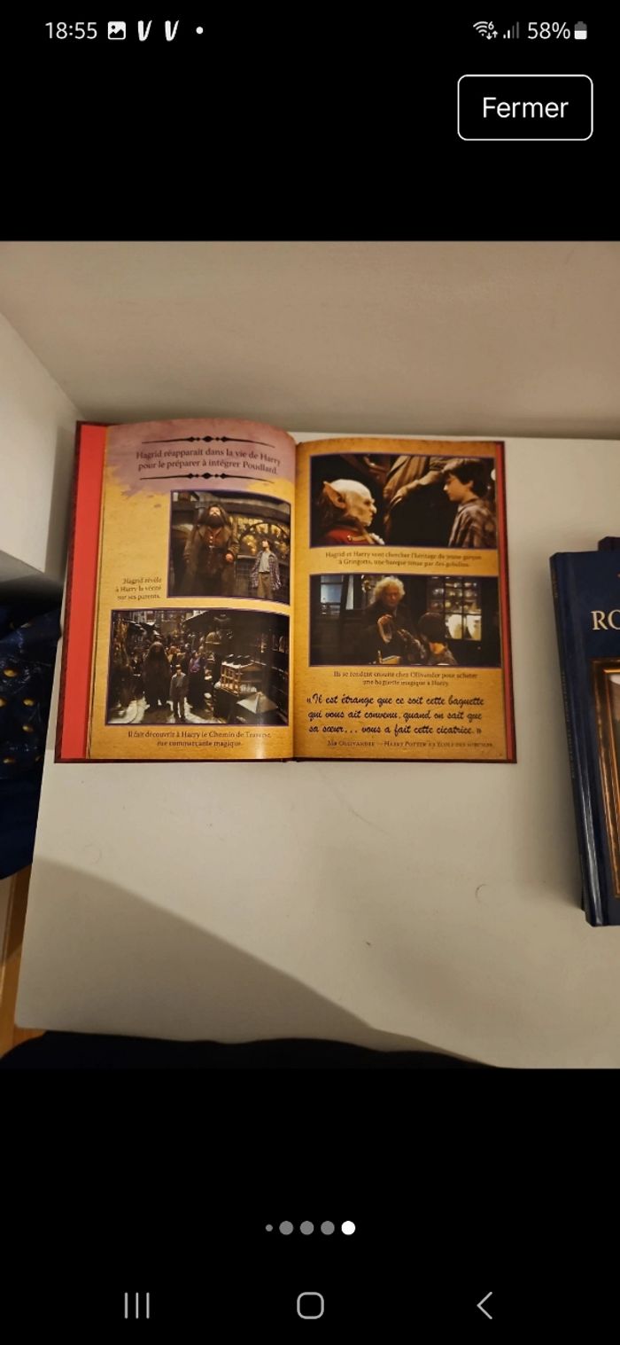 Livre Harry Potter - photo numéro 6