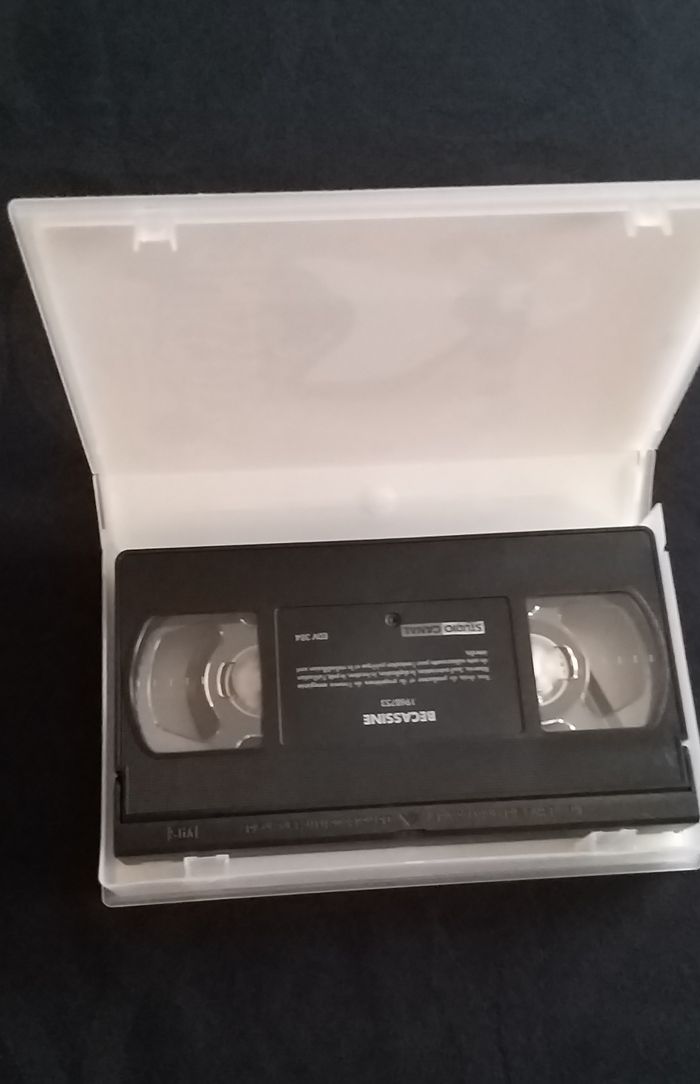Vhs " Bécassine le trésor Viking " - photo numéro 3
