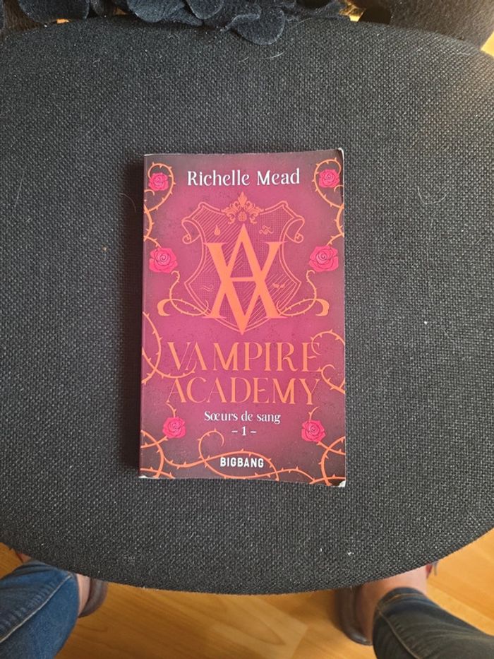 Livre " Vampire academy"