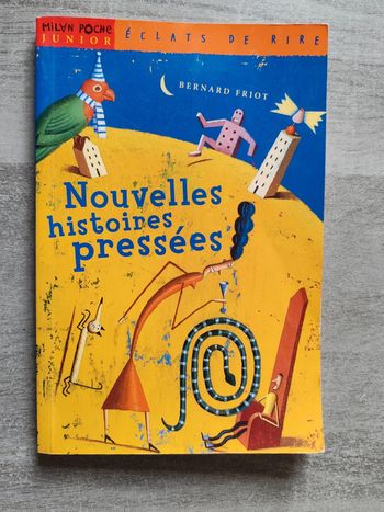 Roman nouvelle histoire pressée Bernard Friot