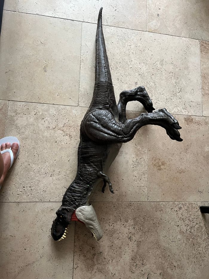 Dinosaure géant - photo numéro 7