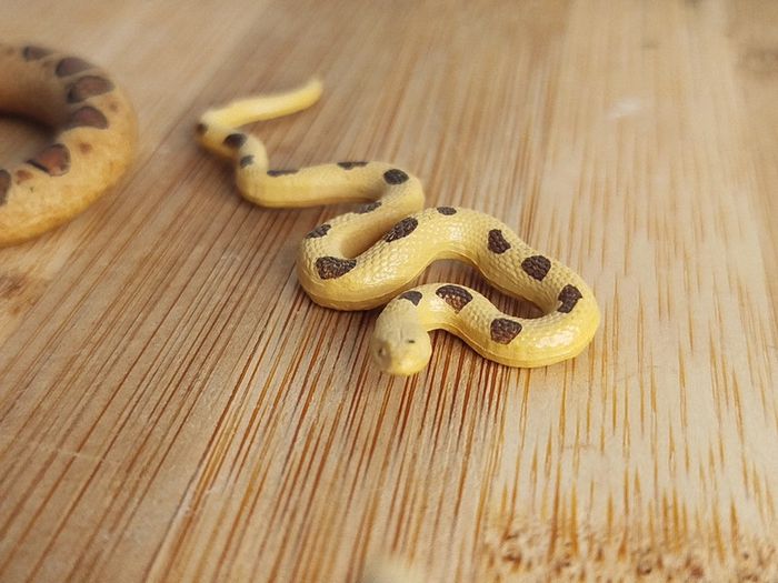 Figurine cycle de vie du serpent - photo numéro 4