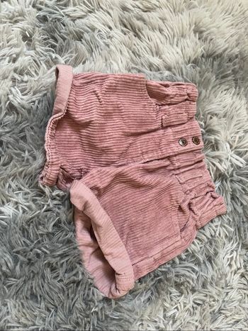 Short velour rose
