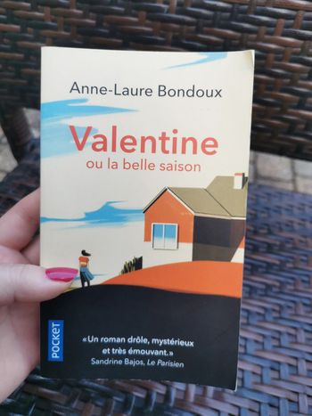 Valentine ou la belle saison, roman