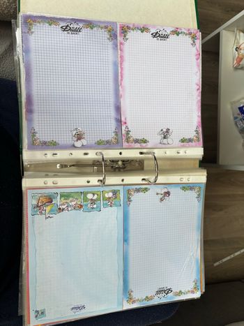 Lot de 125 feuilles diddl