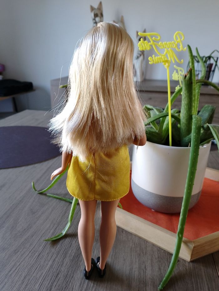 Barbie Fashionistas - photo numéro 3