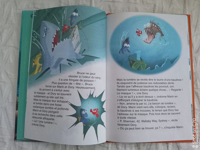 Disney livre le monde de Nemo pixar - photo numéro 3