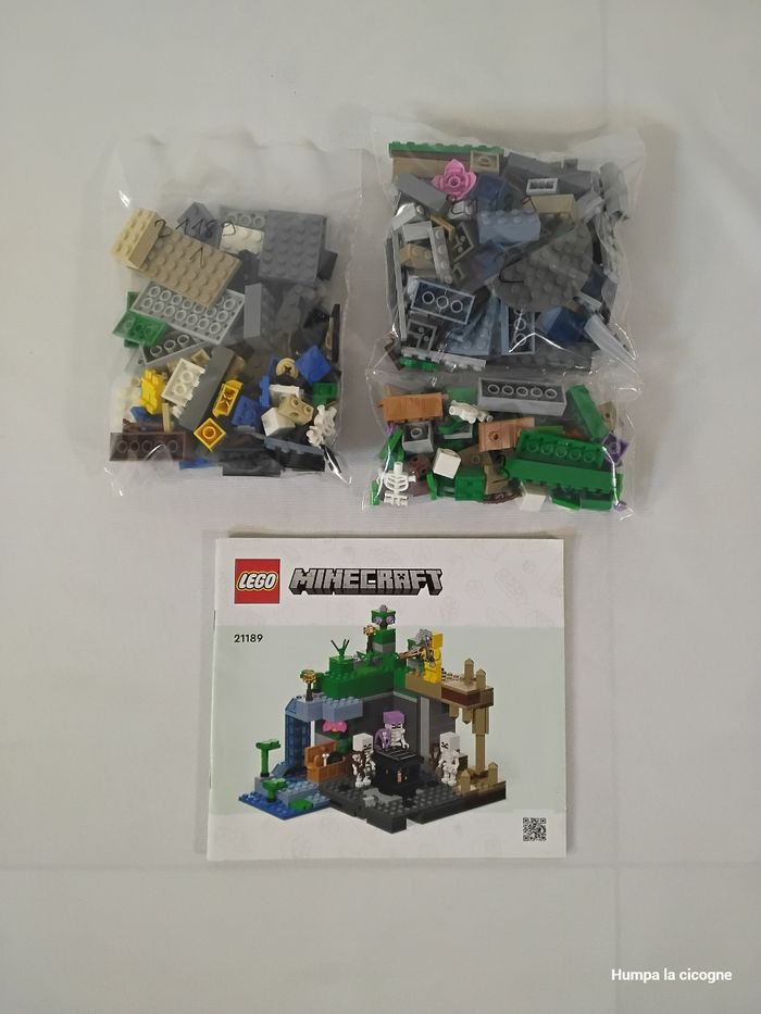 Lego Minecraft 21189 (M387) - photo numéro 8