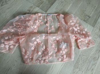 Croc top transparent