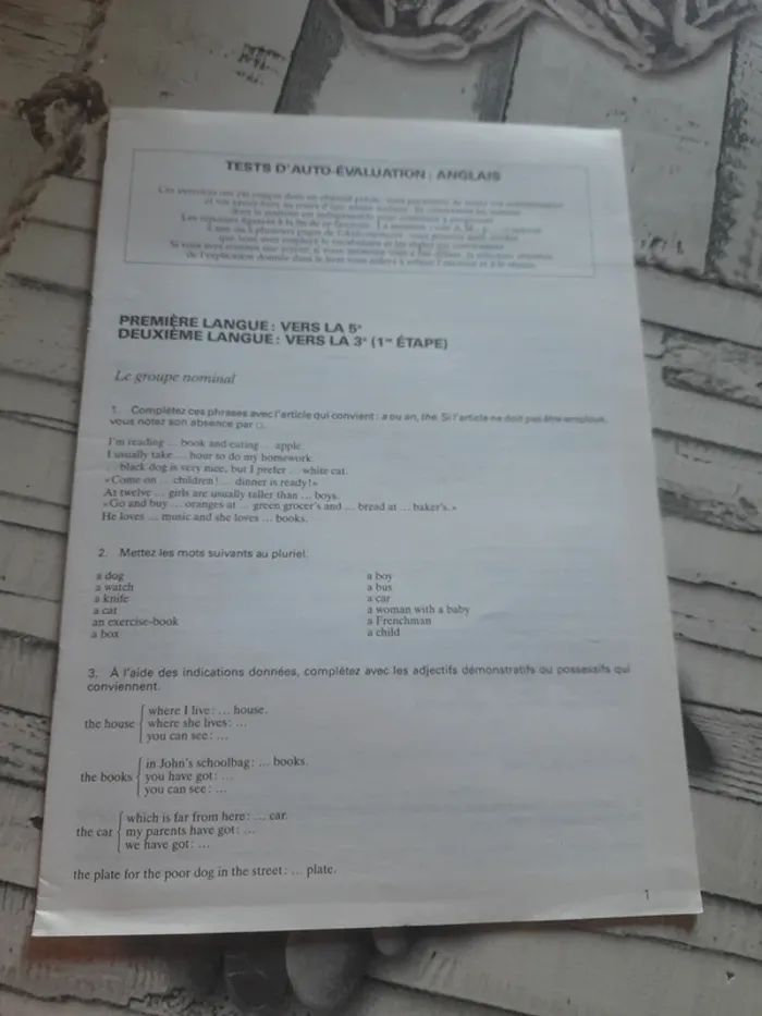 Tout le programme du collège Anglais - photo numéro 5