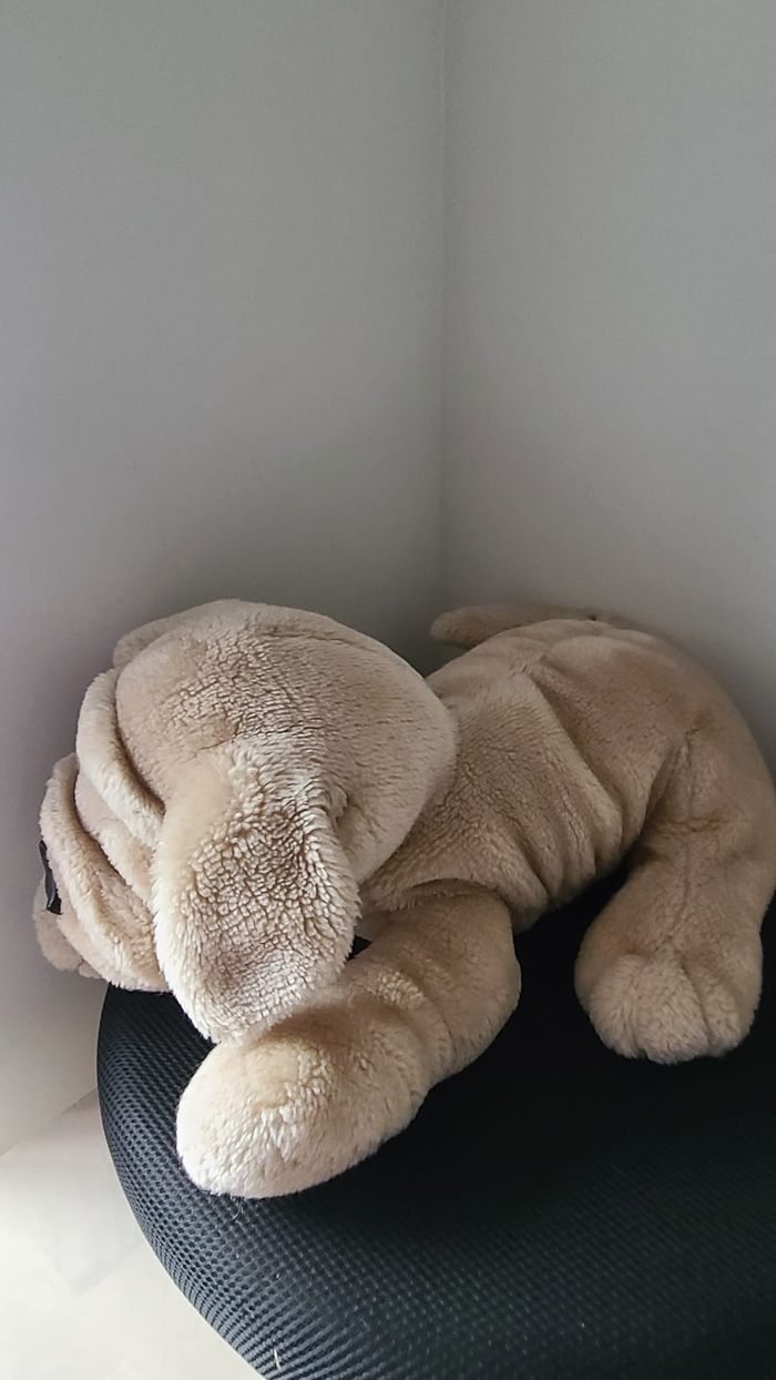 peluche chien - photo numéro 5