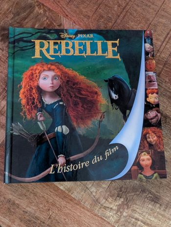 Livre Disney Rebelle