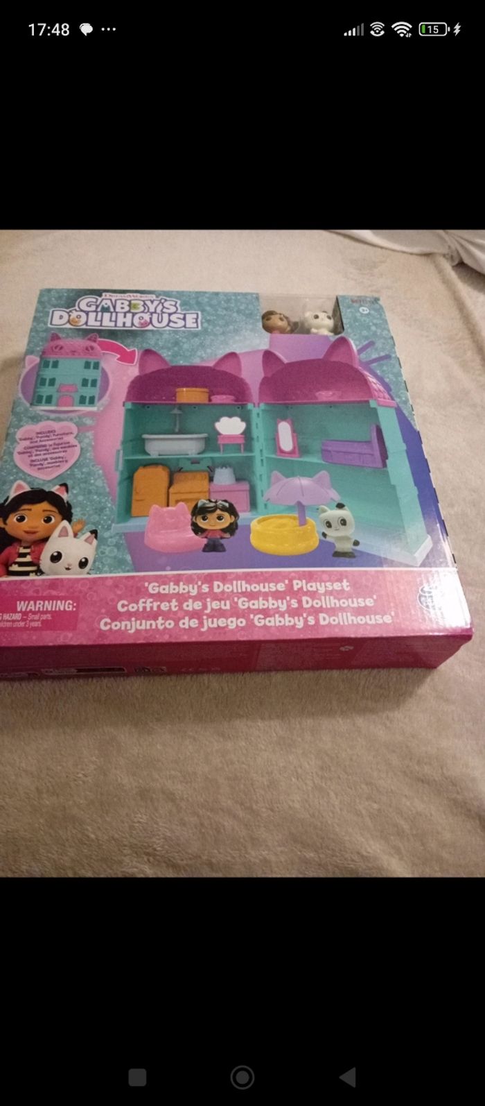 Gabby's chat maison - photo numéro 8