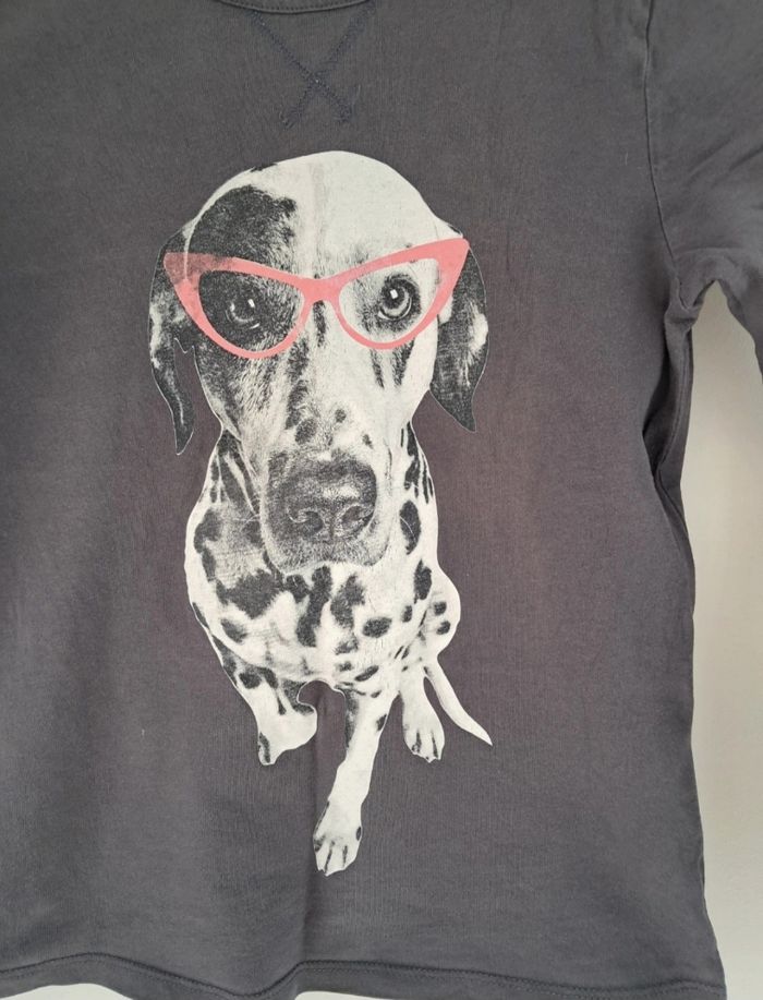 Tee-shirt manche longue 10 ans chien - photo numéro 2