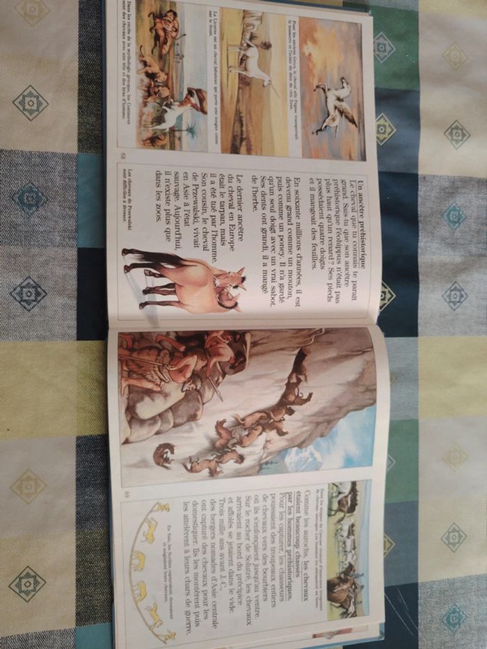 Livre sur le cheval - photo numéro 15