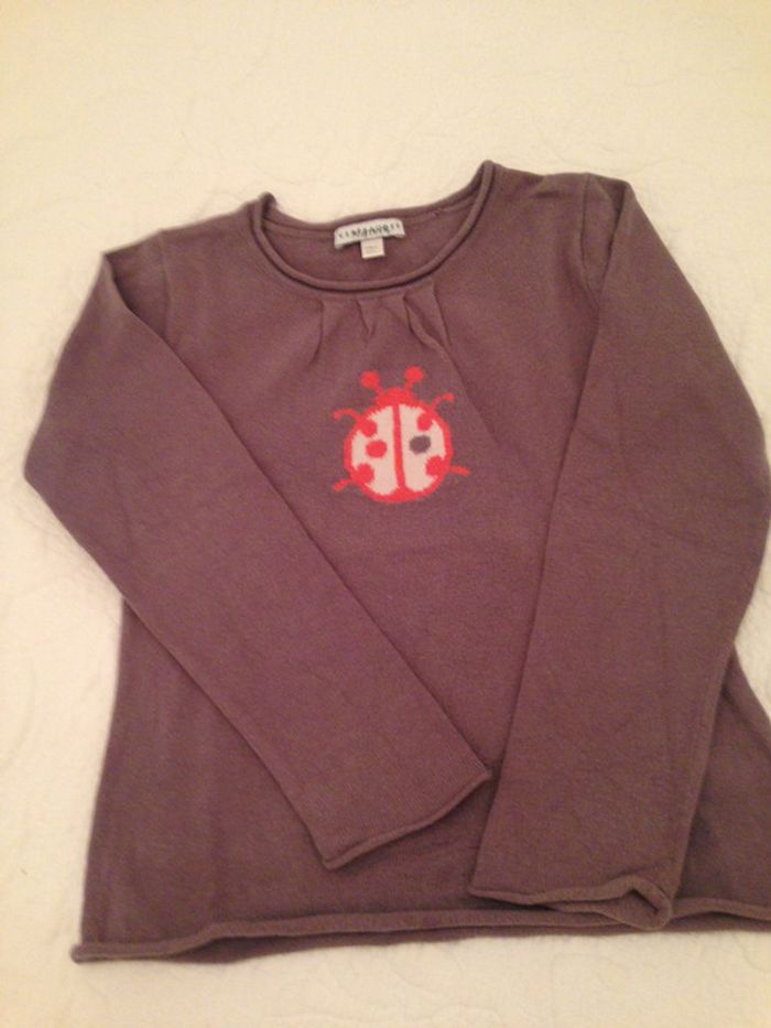 Pull Taupe avec impression d'une coccinelle