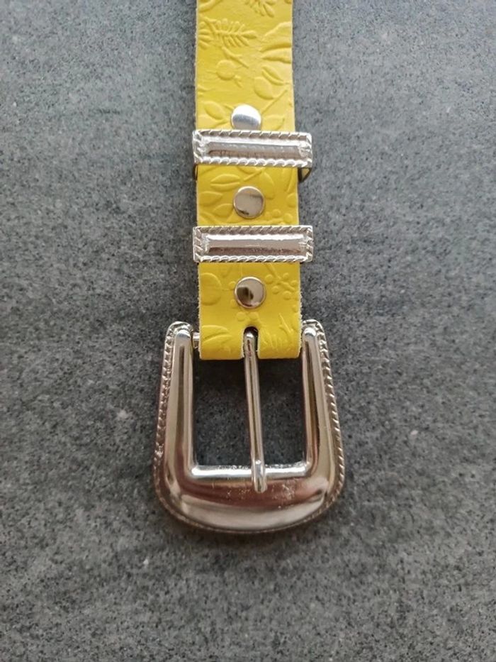 Ceinture - photo numéro 3