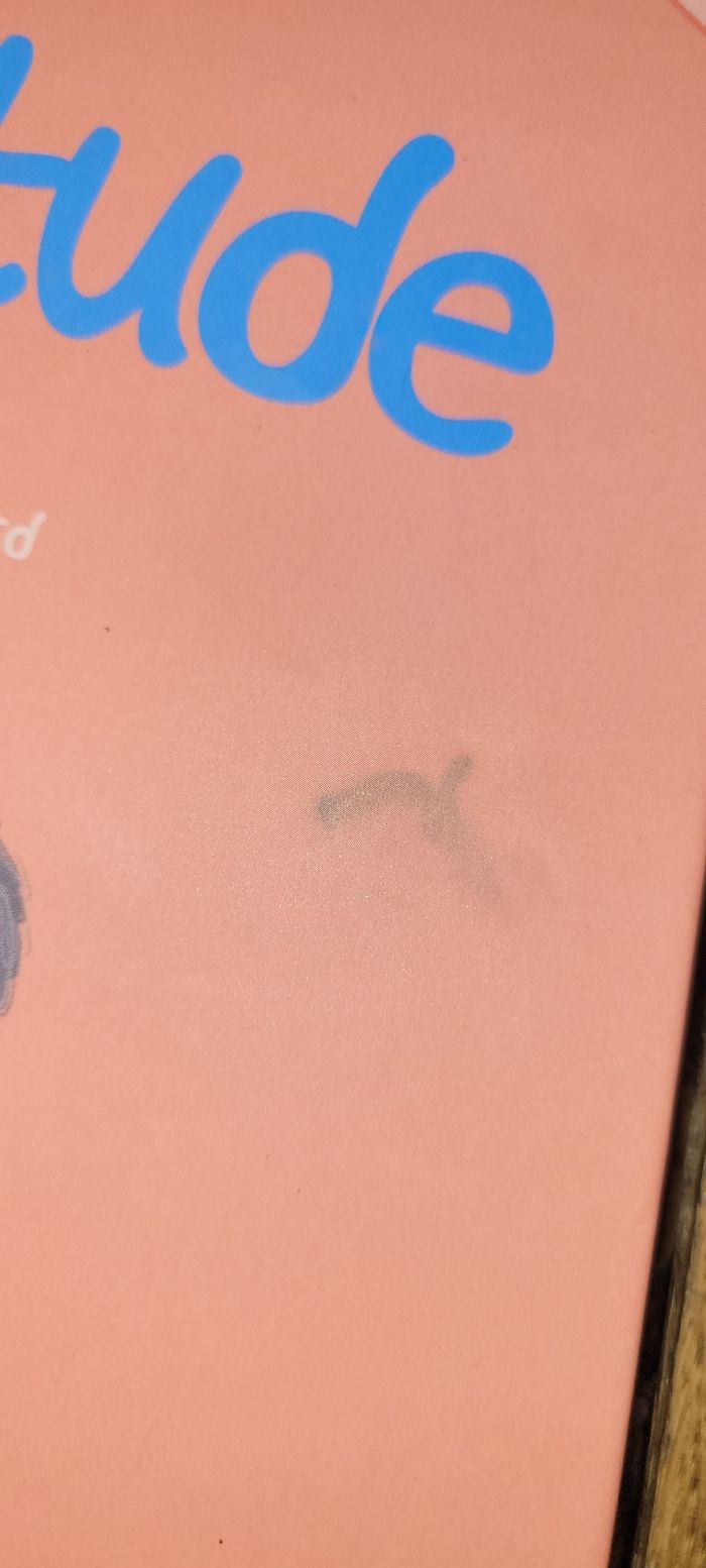 La gratitude - photo numéro 2