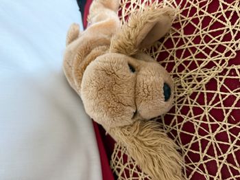 vintage Ty Beanie Buddy « Spunky », le cocker américain