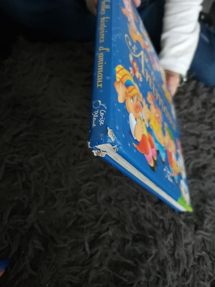 Livre d'histoire enfant - photo numéro 2