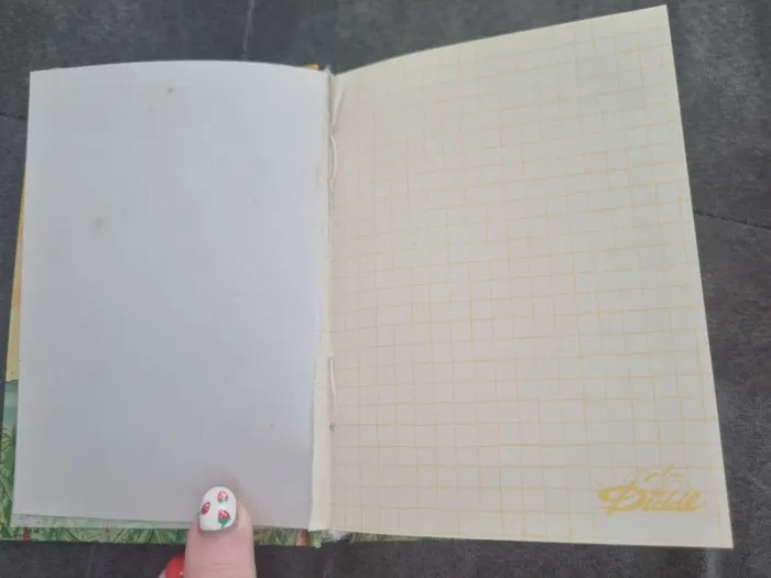 Carnet de note diddl - photo numéro 2