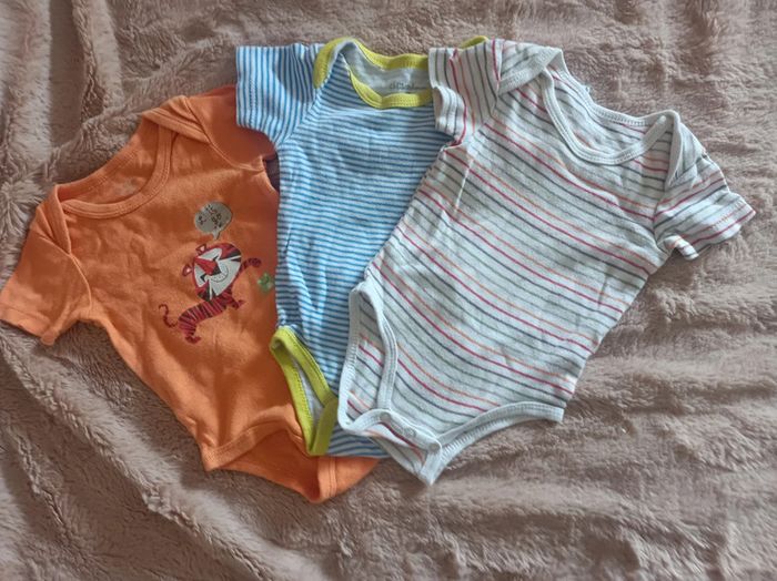 Lot de 3 body manches courtes kitchoun