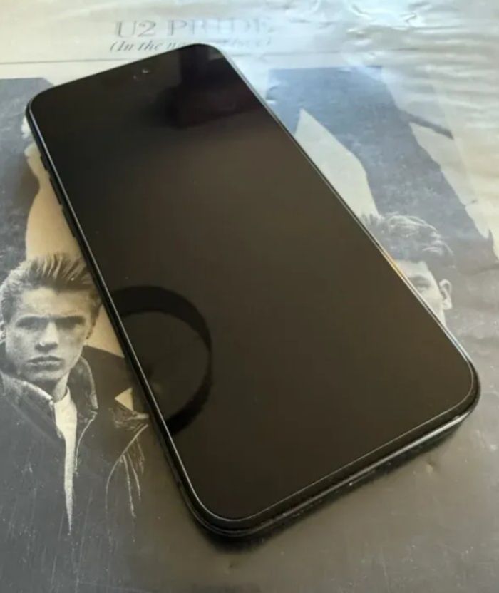 15 pro Max 256 Go - photo numéro 2