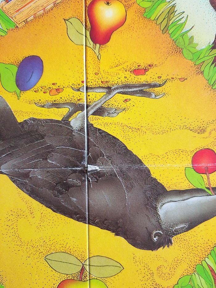 Le verger haba complet - photo numéro 6