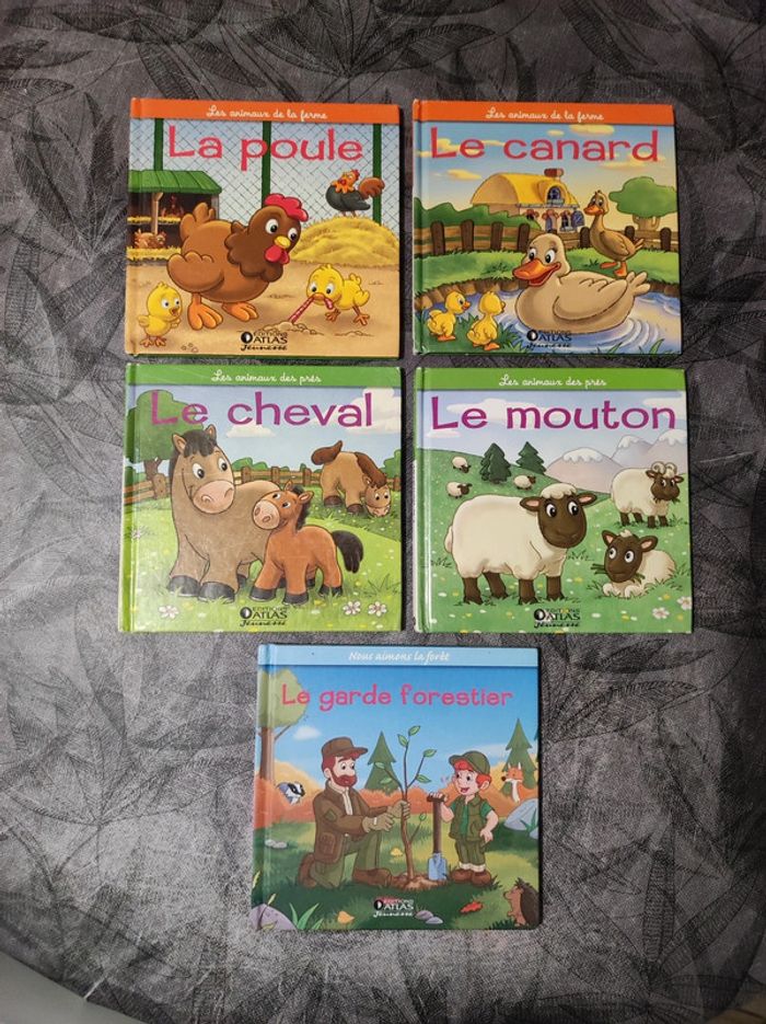 Lot de livres