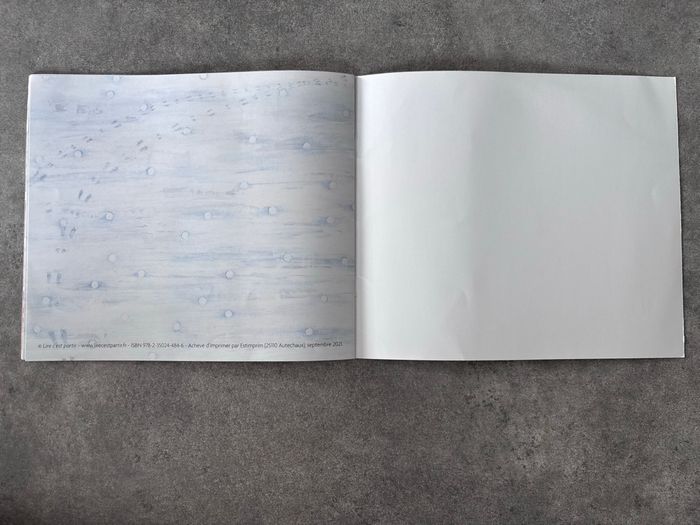 Livre « neige » - photo numéro 9