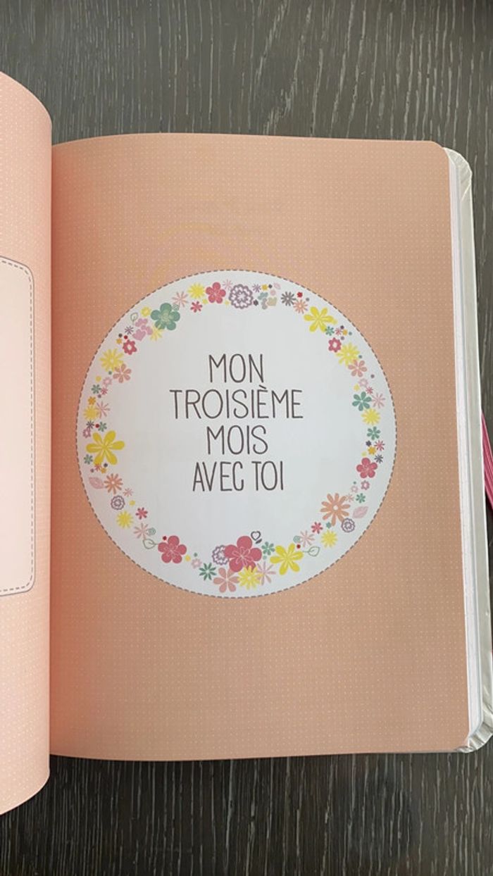 Corolle - le journal d’une jeune maman - photo numéro 4