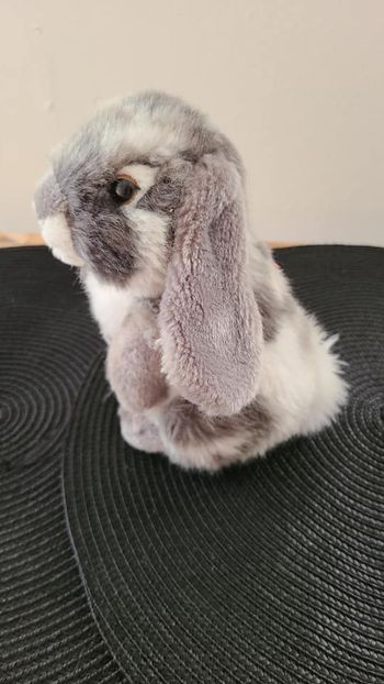 Lapin gris assis Living Nature