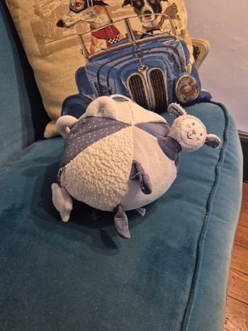 Balle d'activite Sauthon