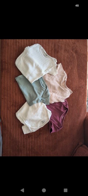 Bodies manches courtes 6 mois