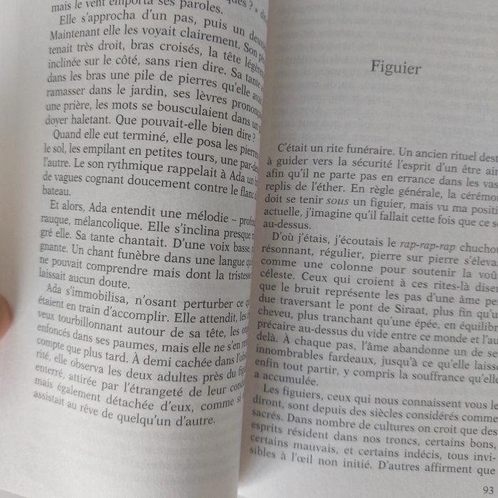 Livre - L'île aux arbres disparus - photo numéro 3