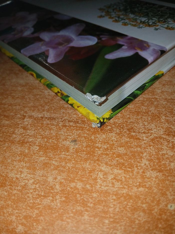 Plantes rustiques l'encyclopédie pratique - photo numéro 3