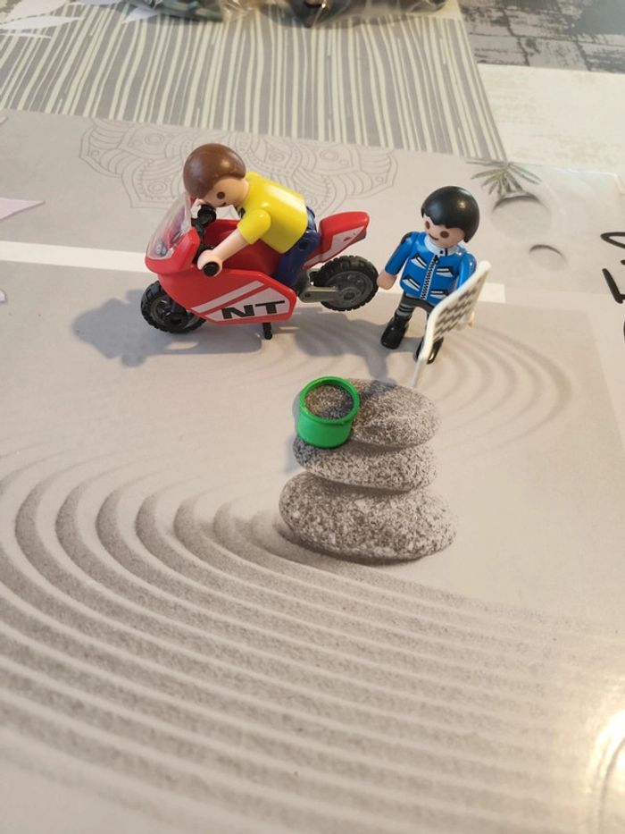 Playmobil spécial plus 70425