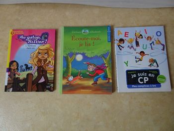Lot de 3 livres premières lectures CP niveau 3