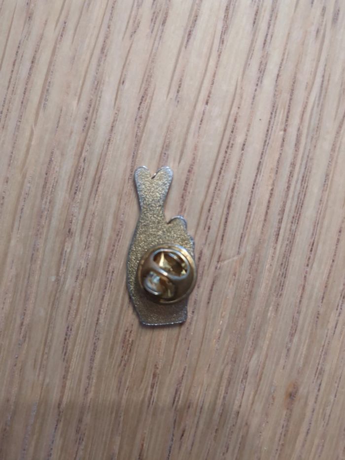 Pin's main de femme - photo numéro 3