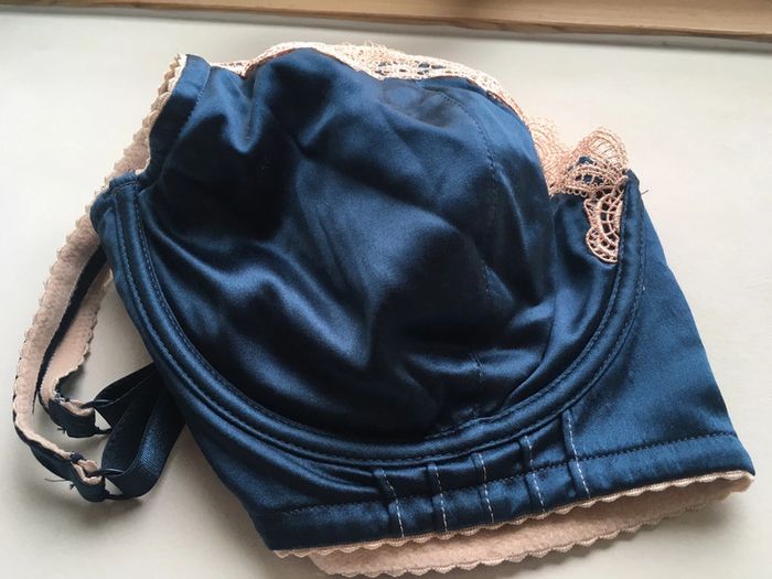 Soutien-gorge soie bleu/rose 95DD Elle Macpherson neuf sans étiquette - photo numéro 8