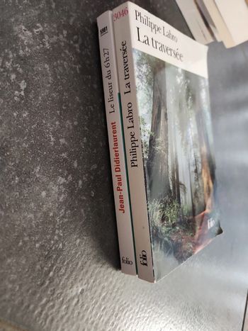 Lot de 2 livres Folio