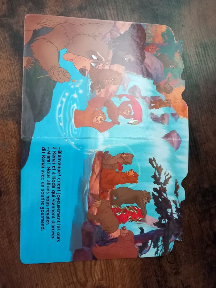 Frère des ours Disney - photo numéro 4