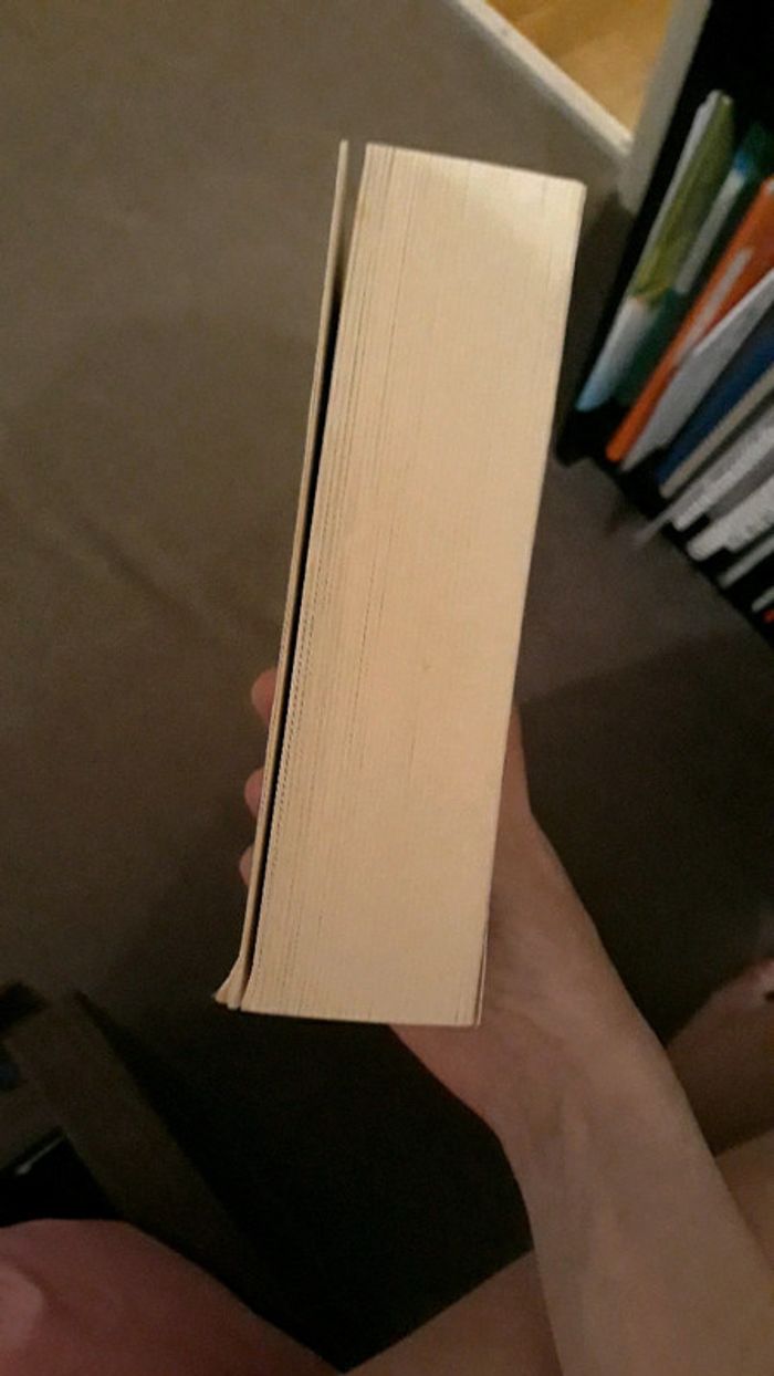 Tome 1 de la saga Millenium en format poche - photo numéro 2