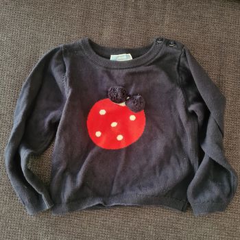 Pull coccinelle